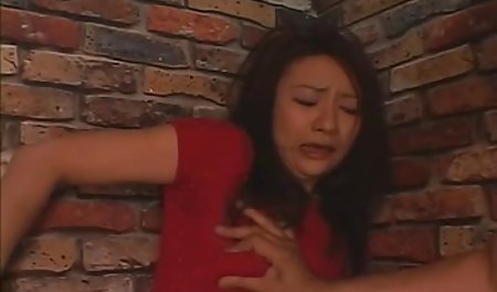 في سن المراهقة ستيلا كوكس يطارد سكس مصري اخ واخته شقيقها الأصدقاء للنوم - برازرز